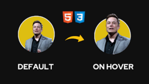 How to Create Avatar Hover Effect in HTML CSS